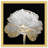 Gold And Light Floral " Gold And Light Floral II " by Oliver Gal Painting Print-68785410-68785407