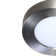 Evadale LED Flush Mount