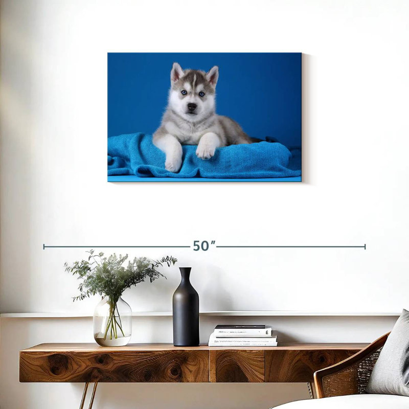 Chiot Husky aux yeux bleus, H 20 po x l 30 po