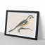 Parrot by Johan Teyler - Picture Frame Painting Print-55737657-55737658