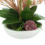 Orchids Arranged in Fiberstone Planter