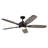 Inkom 56'' Ceiling Fan with LED Lights-1048296193