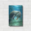 «Five Of Earth-Manatee» par Dan Craig, art mural en métal-991619250