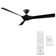 58" Torque 3 - Blade Outdoor/Indoor Smart Ceiling Fan with Remote Control Included, Works With Alexa and iOS or Android App