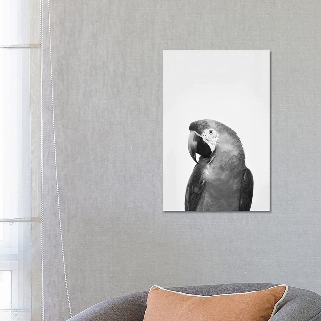 Parrot In Black & White von Sisi & Seb - Galerie-verpackte Leinwand Giclée