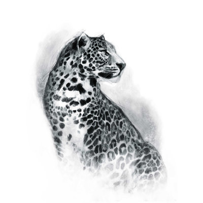 " Safari Leopard "