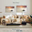 Tortue Brampt sur le rivage-107689342