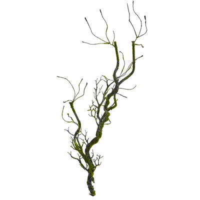 43 " Birch Branch