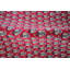 Indo Oriental Area Rug-57332452