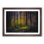 Forest Dreams - Picture Frame Graphic Art Print-56712919-56712918