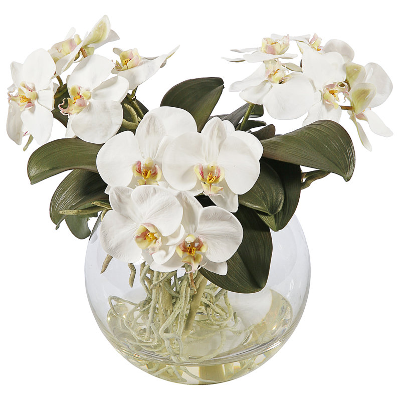Phalaenopsis Orchid Floral Arrangement in Decorative Vase