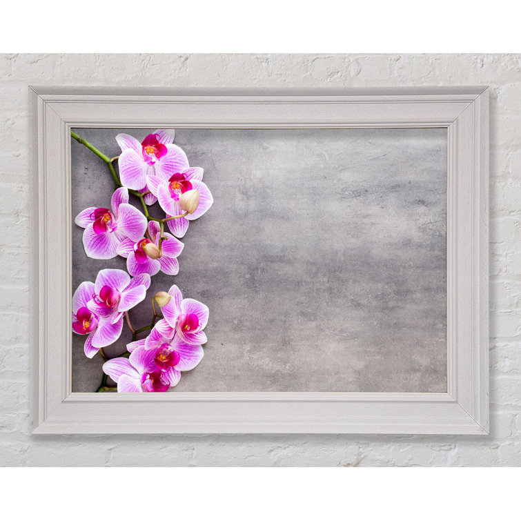 Ebern Designs Pink Orchids On Grey - Single Picture Frame Print ...