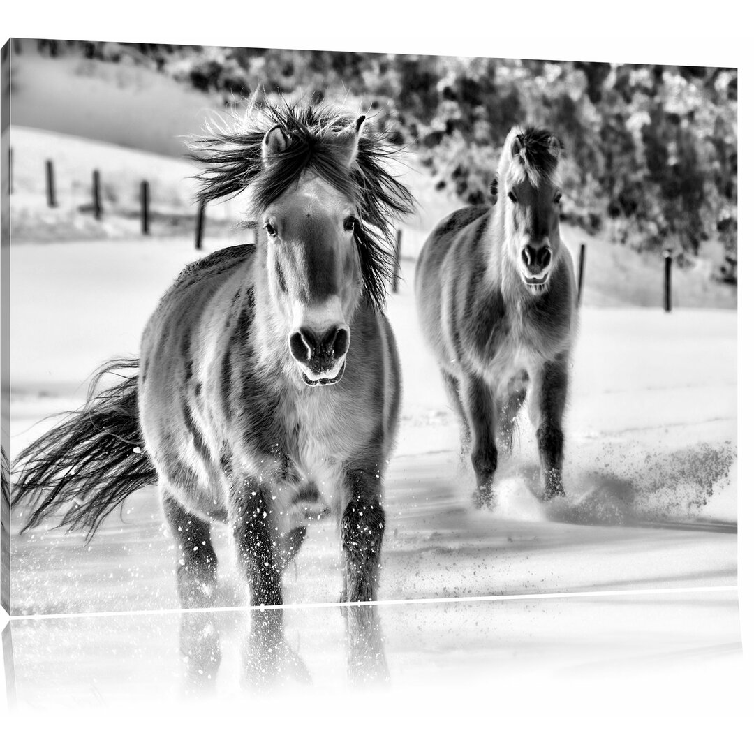 Leinwandbild Pferd im Schnee in Monochrom