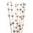 Dakota Fields 36-40" Brown Star Bamboo Reed, 7 stems, Dried