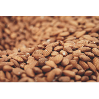 Thousands Of Almonds - Wrapped Canvas Print
