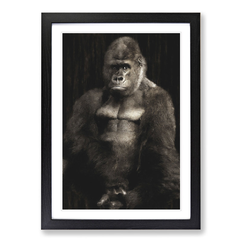 Silverback Gorilla Vol.2 - Picture Frame Graphic Art, Black Framed, 48cm H x 36cm W x 2cm D