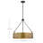 Ashanae 4 - Light Dimmable Drum Chandelier-111238838-111238825