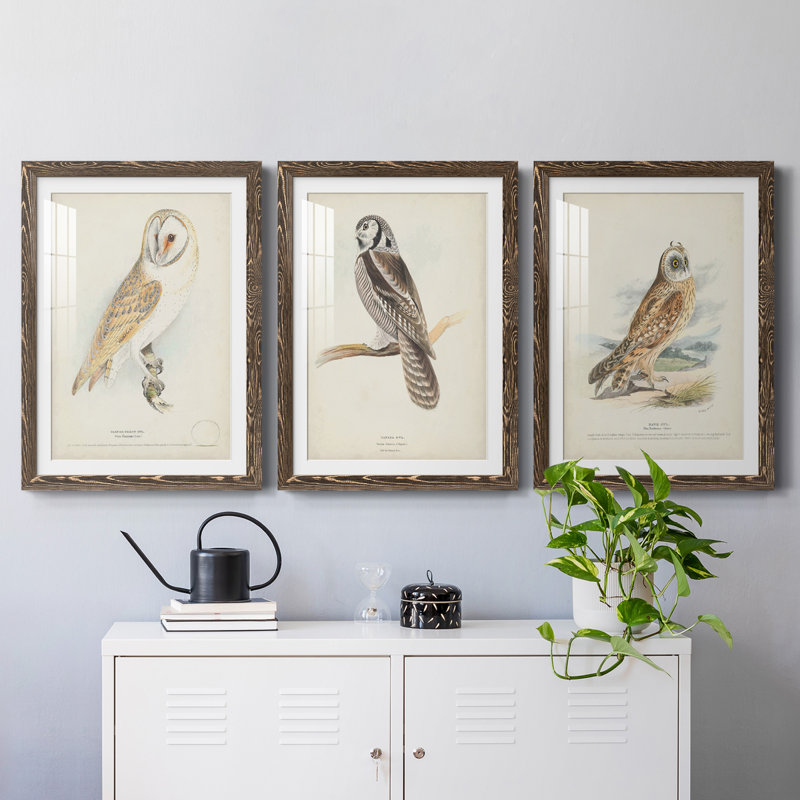 Barn Owl Premium encadré mat - prêt à accrocher, Noyer, H 31,5 po x l 47 po x P 1,5 po
