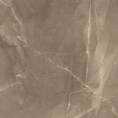 Windsor 12" x 12" Polished Porcelain Floor and Wall Tile
