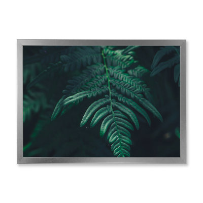 Feuille de fougère vert foncé sur fond noir - reproduction sur toile