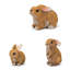 Animals Weather Resistant Resin Garden Statue