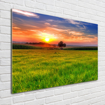 Sunset meadow 1 Piece Wall Art on Glass