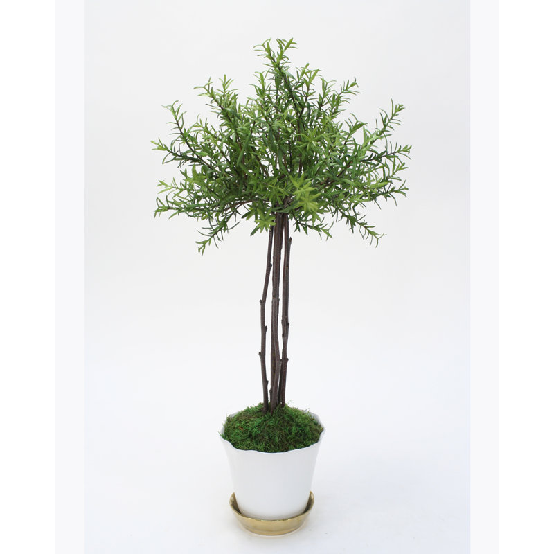 31'' Faux Foliage Topiary in Porcelain Pot