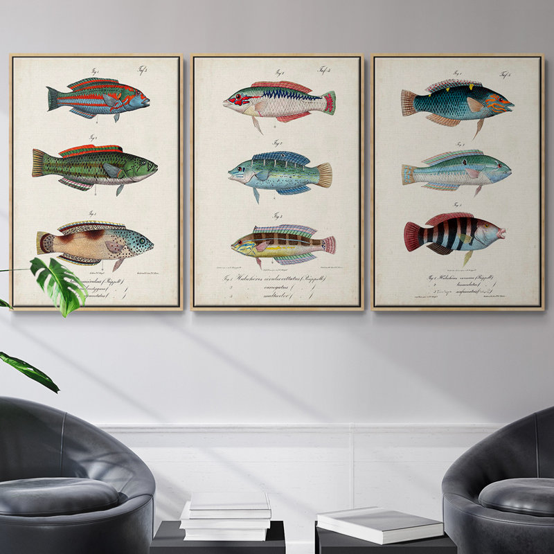 Antique Fish Trio I, ensemble de 3 toiles encadrées sur toile, H 27 po x l 54 po, Naturel