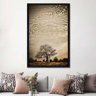 Baobab Hierarchy I by Klaus Tiedge - Print on Canvas