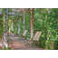 Belle Isle Outdoor Glider-25793916-25793933-25793946