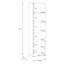200.1 cm H x 53.2 cm W Bookcase-1428283817