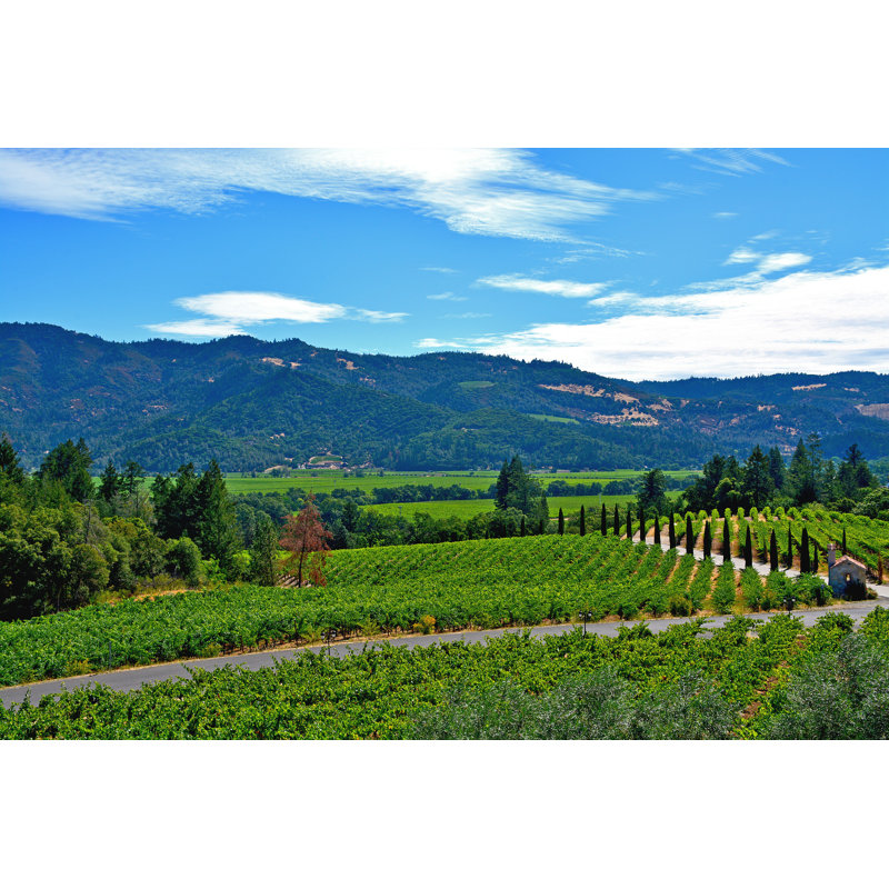 Scenic Napa Valley - Photographie sur toile tendue, H 8 po x l 12 po