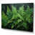 Wrapped Canvas
