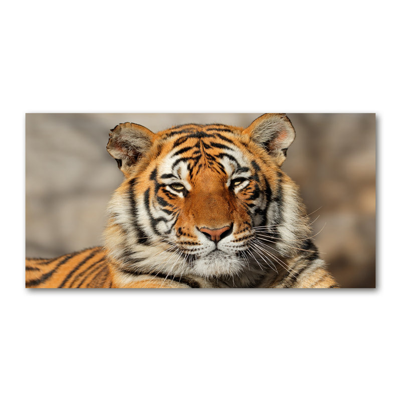 Bengal Tiger - Wrapped Canvas Print