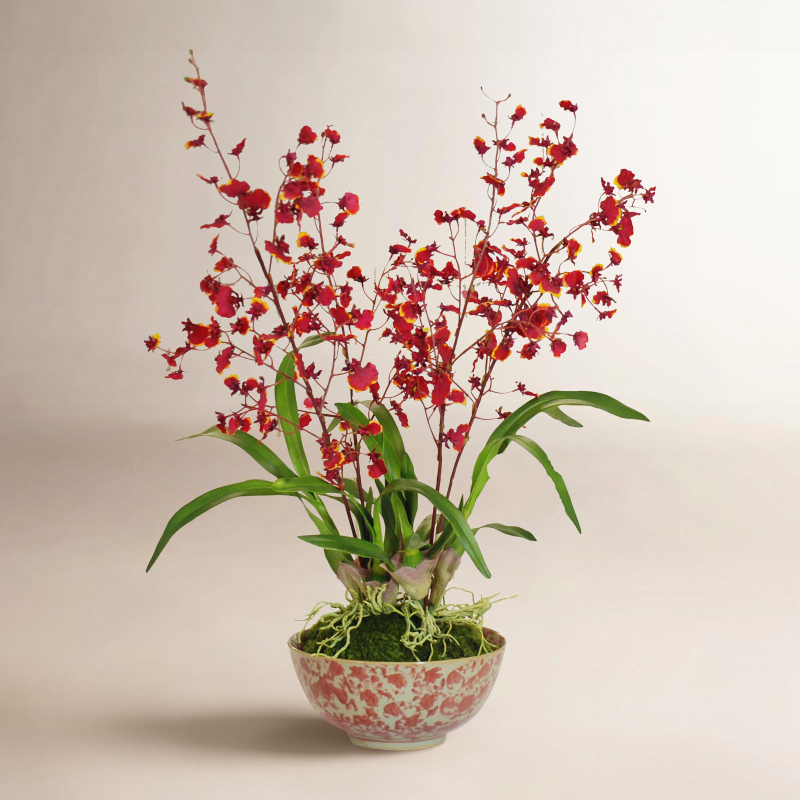 Orchid Floral Arrangement