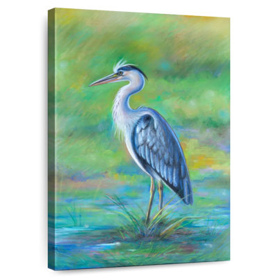 Aigrette ronce