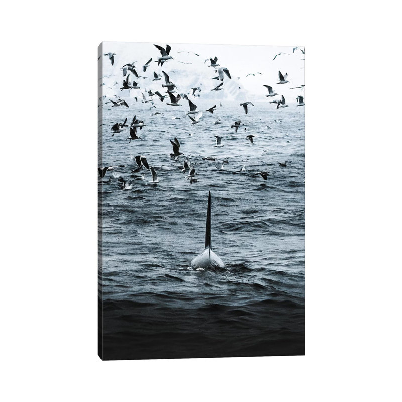 Rider of the Storm 1 Piece Wrapped Canvas Painting, 20.32 cm H x 30.48 cm W