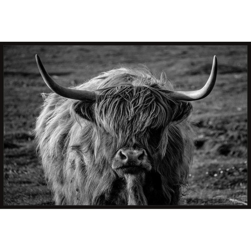 Iconic Beasts by Marmont Hill - Painting, Canvas, 30cm H x 45cm W
