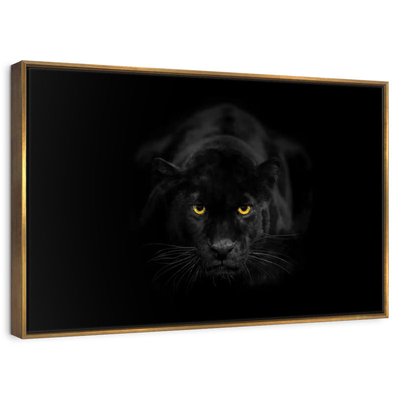 Rare panthère noire, Cadre flottant doré, 31 po x 21 po