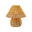  Lampe portative rechargeable 9 pouces A More Beautiful Home and Garden