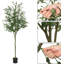 180cm Plant