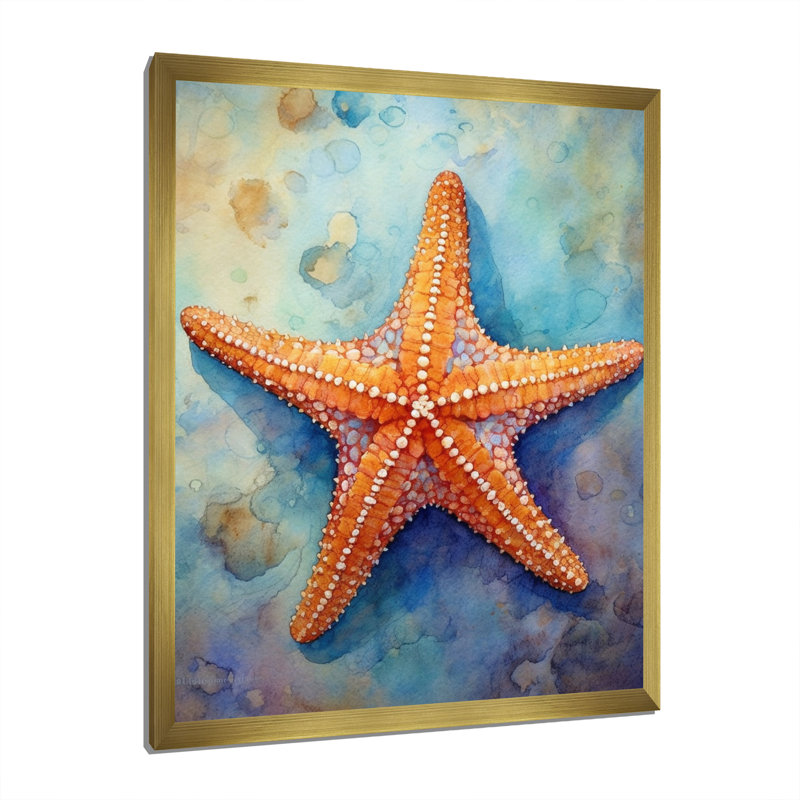 Spinny Starfish II - Starfish, art mural, Cadre doré simple, H 40 po x l 30 po x P 1,5 po