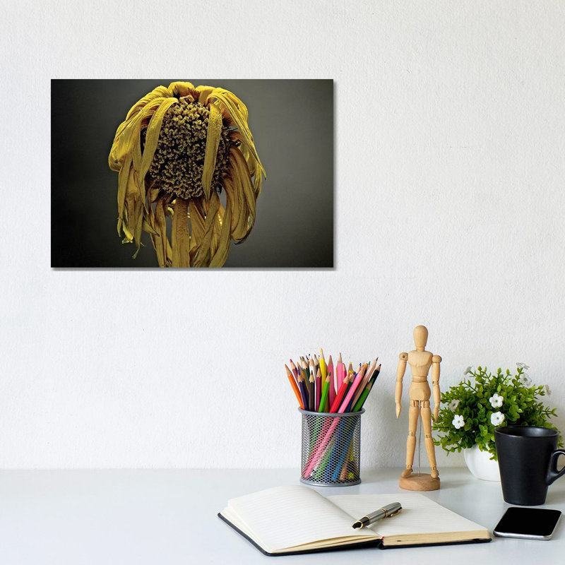 Studio Flowers VII by James McLoughlin - Wrapped Canvas Print, 20.32 cm H x 30.48 cm W