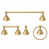 Raw Brass selected