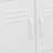 Storage Cabinet Freestanding File Cabinet with Shelves for Office Steel-1149253489