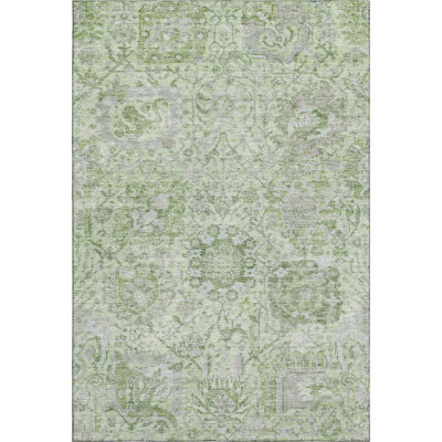 Premium Machine Washable Wayne AMF1102 Damask Rug