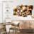 Aletra Various Seashells-108898963