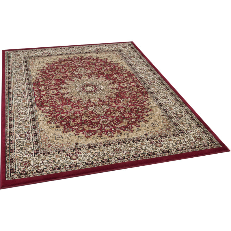 Oriental Area Rug in Red