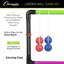 Champion Sports