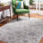 Claudean Performance Damask Rug-514806251